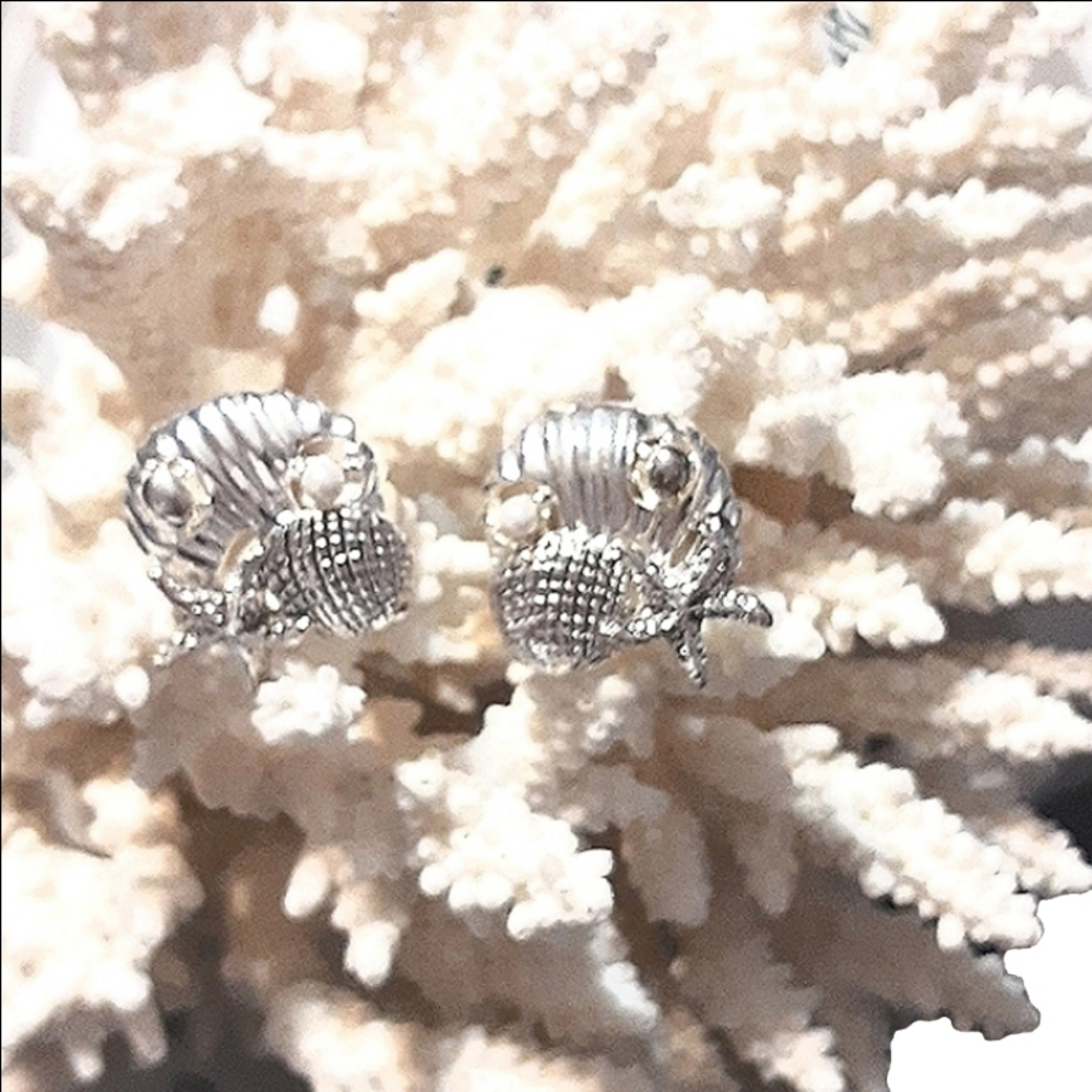 SEASHELLS, STARFISH & a tiny PEARL - Picture 6 of 6